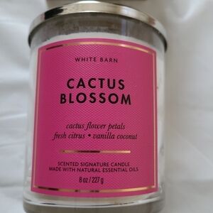 Bath & Bodyworks Candle CACTUS BLOOSM nib
